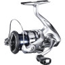 Катушка SHIMANO 19 STRADIC 2500 FL ST2500FL